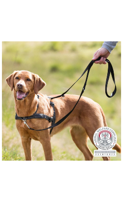 Trixie Peitoral de Treino Lead n Walk Soft | 25 mm x 55-90 cm para cão – imagem secundária 1
