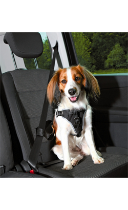 Trixie Protect Car Harness para cão – imagem principal