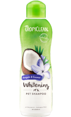 Tropiclean Awapuhi & Coconut Shampoo – imagem principal