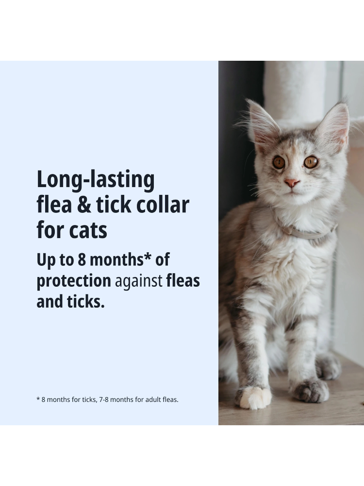 Virbac Prevexto Coleira Medicamentosa para Gatos – imagem secundária 3