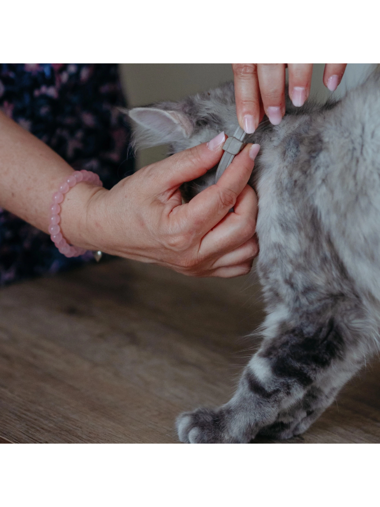 Virbac Prevexto Coleira Medicamentosa para Gatos – imagem secundária 4