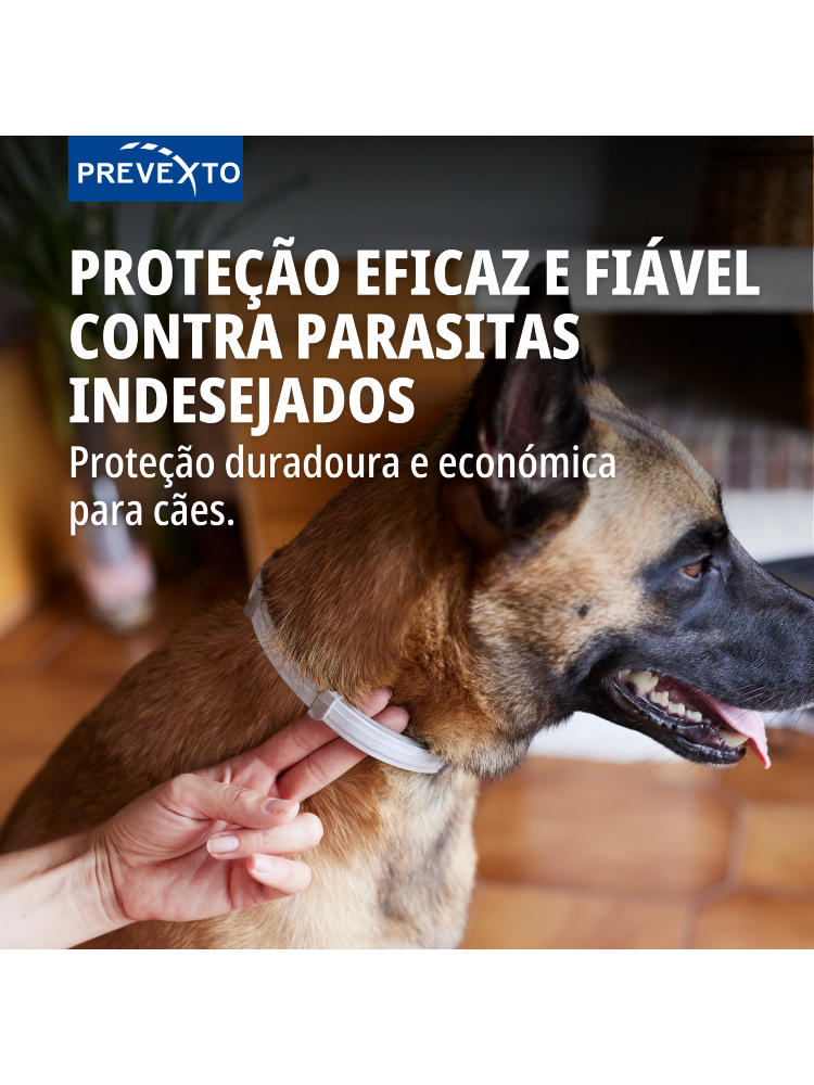 Virbac Prevexto Coleira Medicamentosa para Cães Grandes – imagem secundária 1