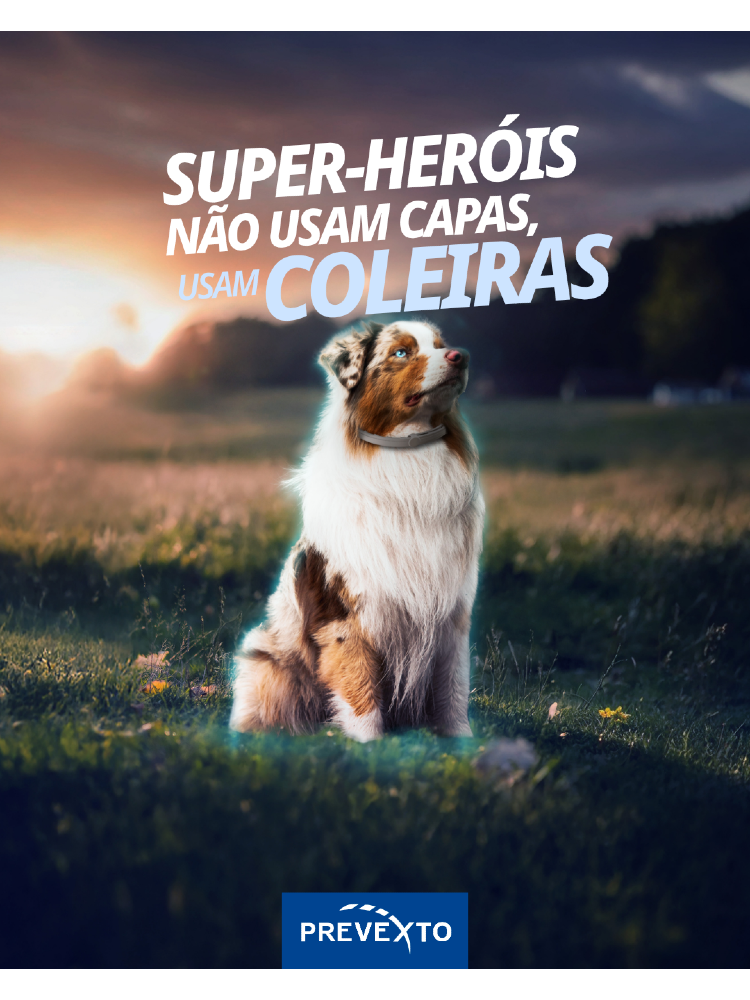 Virbac Prevexto Coleira Medicamentosa para Cães Pequenos – imagem secundária 6