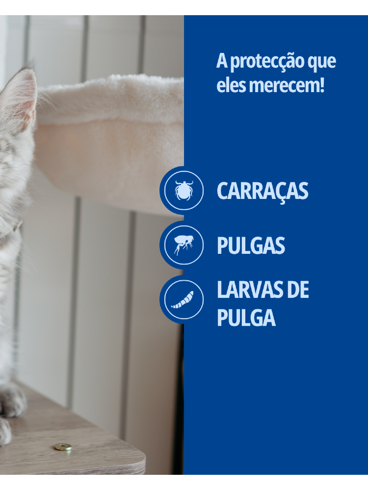Virbac Prevexto Coleira Medicamentosa para Gatos – imagem secundária 8