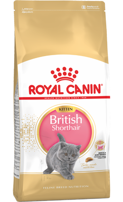 Royal Canin Cat Kitten British Shorthair – imagem secundária 1