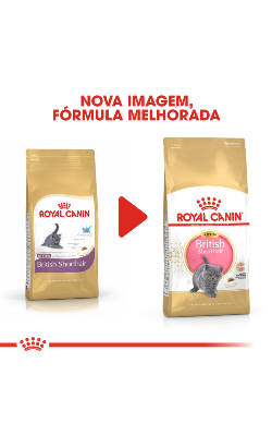 Royal Canin Cat Kitten British Shorthair – imagem secundária 2