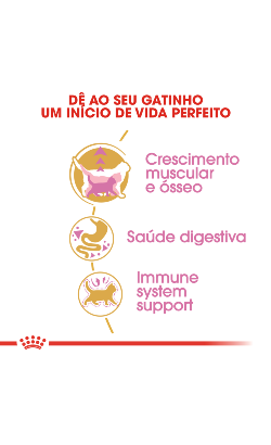 Royal Canin Cat Kitten British Shorthair – imagem secundária 5