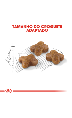 Royal Canin Cat Kitten – imagem secundária 5