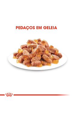 Royal Canin Cat Kitten in Jelly – imagem secundária 5