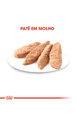 Royal Canin Cat Kitten in Loaf – imagem secundária 4