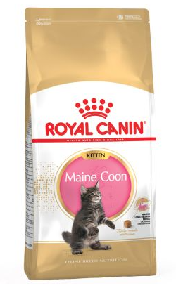 Royal Canin Cat Kitten Maine Coon – imagem secundária 1