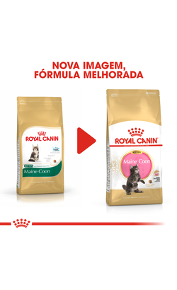 Royal Canin Cat Kitten Maine Coon – imagem secundária 2