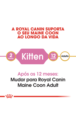 Royal Canin Cat Kitten Maine Coon – imagem secundária 3