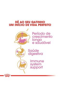 Royal Canin Cat Kitten Maine Coon – imagem secundária 4