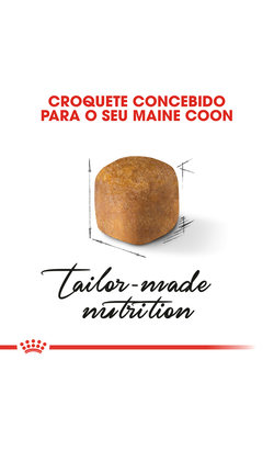 Royal Canin Cat Kitten Maine Coon – imagem secundária 5