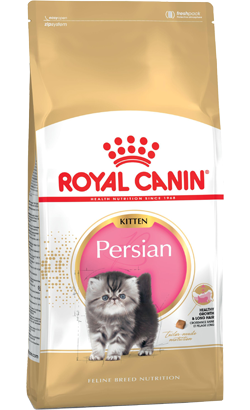 Royal Canin Cat Kitten Persian – imagem secundária 1
