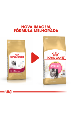 Royal Canin Cat Kitten Persian – imagem secundária 2