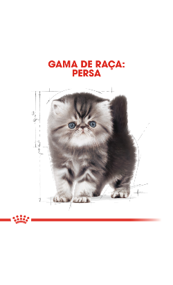 Royal Canin Cat Kitten Persian – imagem secundária 3