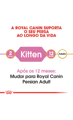 Royal Canin Cat Kitten Persian – imagem secundária 4