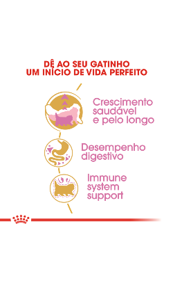 Royal Canin Cat Kitten Persian – imagem secundária 5