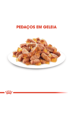 Royal Canin Cat Kitten Sterilised in Jelly – imagem secundária 4