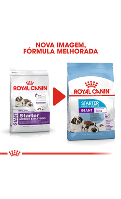 Royal Canin Giant Starter – imagem secundária 2