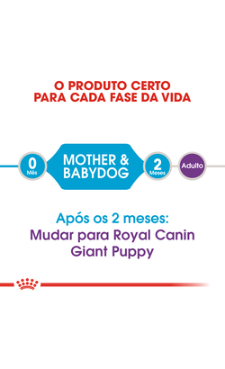 Royal Canin Giant Starter – imagem secundária 3