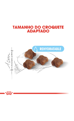 Royal Canin Mother & Babycat – imagem secundária 5
